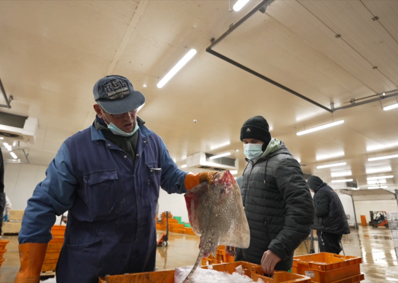 Vente de poissons frais en entrepôt